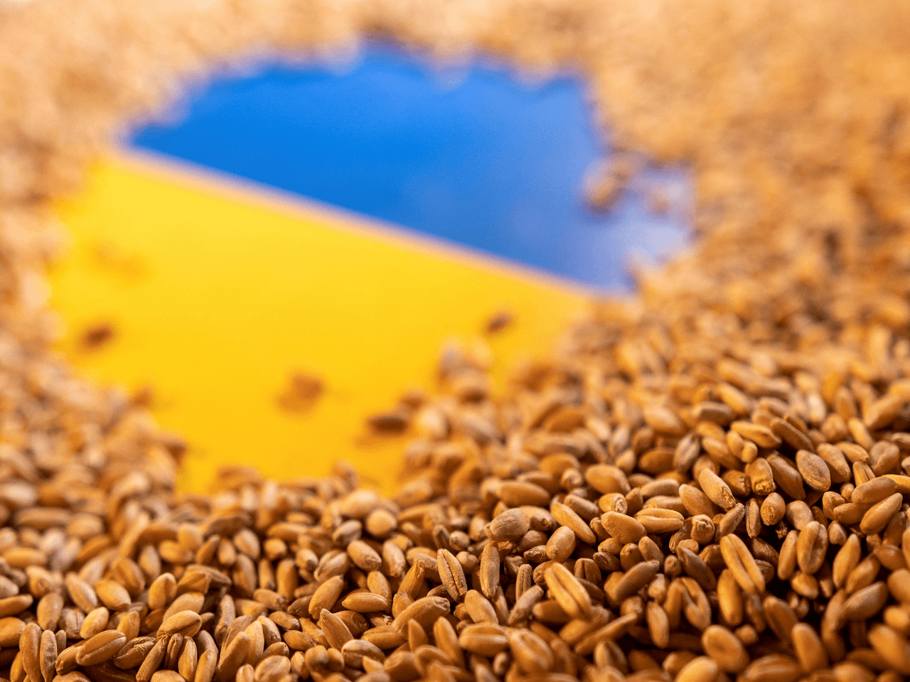Ziraat Bankası Tahıl Koridoru Kapsamında Rusya Ödemelerine Aracılık Edecek
