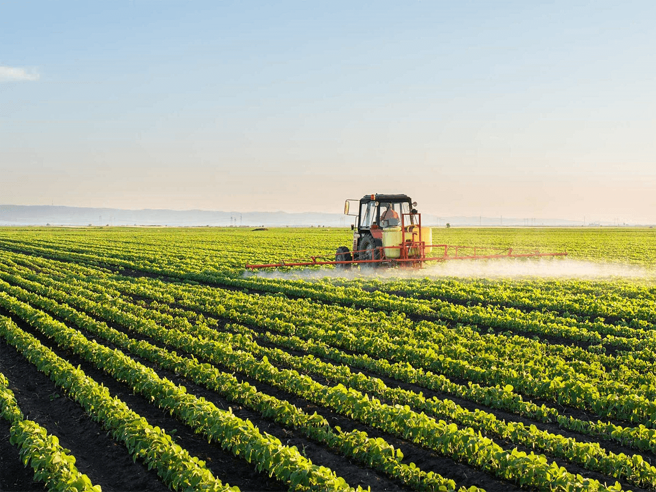 Türk Tarım Sektörü İhracat Rekoru Kırdı