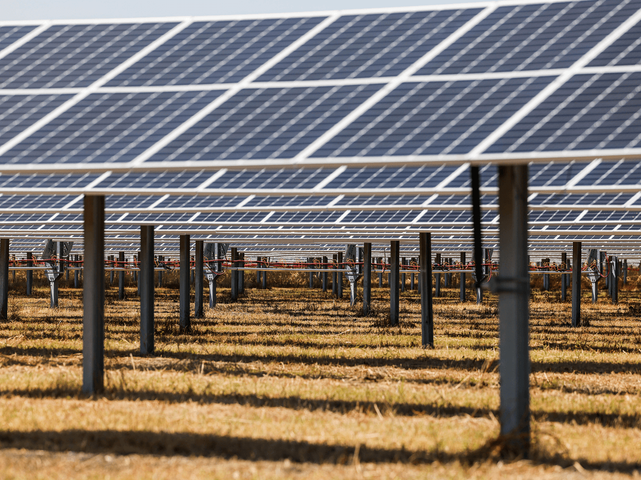ABD Güneş Paneli Üreticileri Daha Fazla Koruma İstiyor