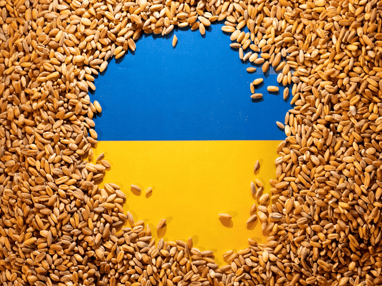 Ukrayna’nın Tarımsal Ürün İhracatı Artmaya Devam Ediyor